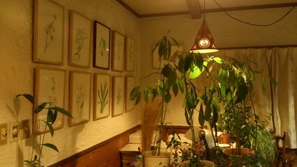 האקובה Gallery & Lodge Noichigo מראה חיצוני תמונה