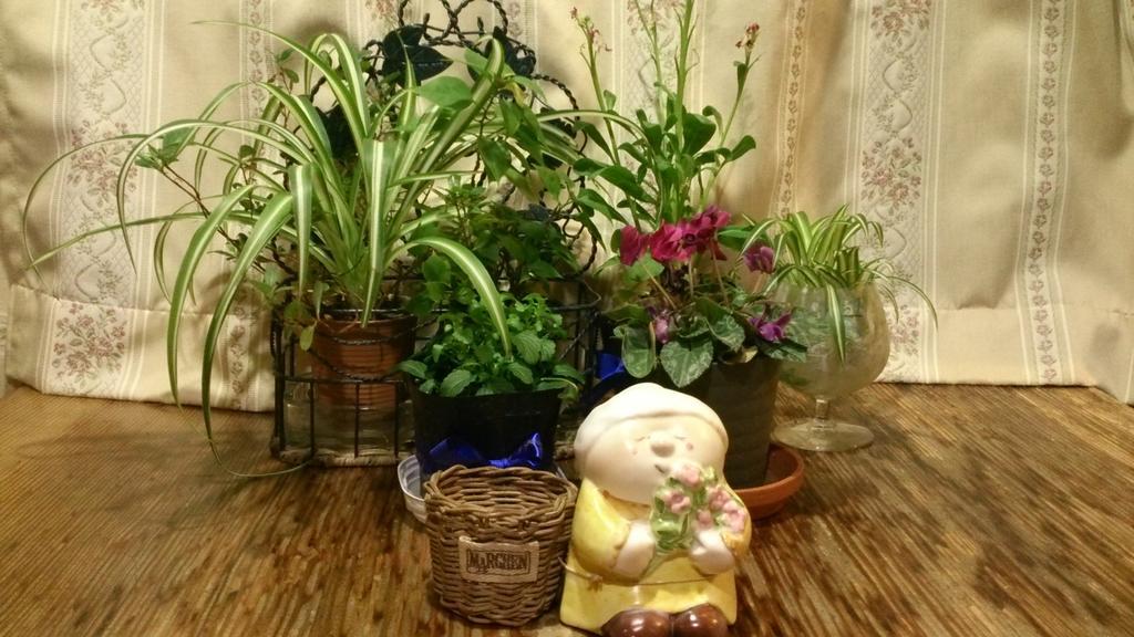 האקובה Gallery & Lodge Noichigo מראה חיצוני תמונה